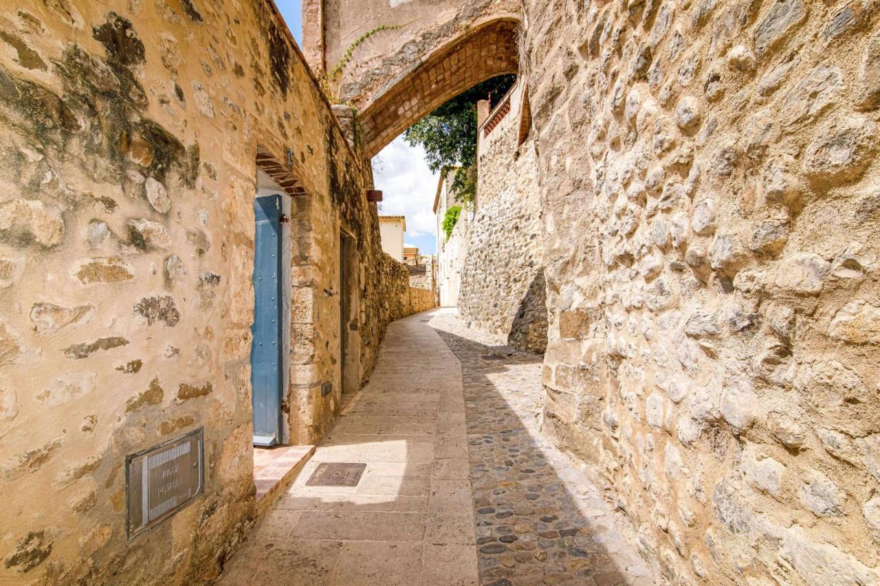 El Molino De Besalu Casa Con Jardin Villa Eksteriør billede